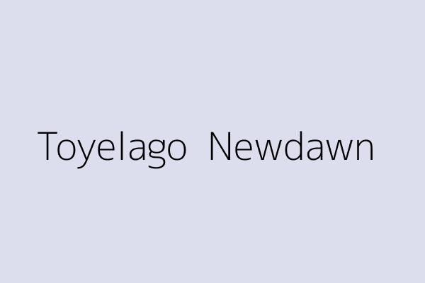 Toyelago  Newdawn